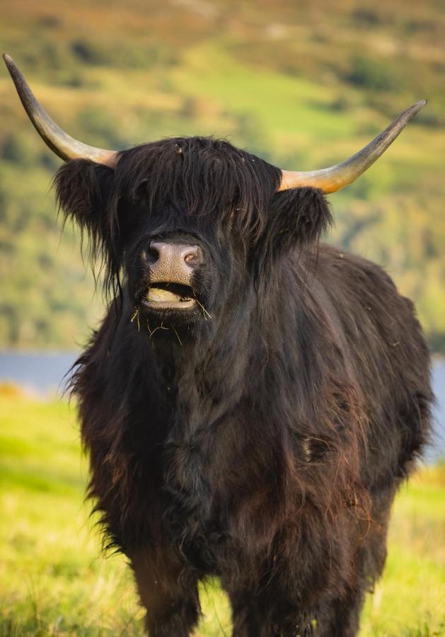 Loch Ness Cottage حصن أوغسطس المظهر الخارجي الصورة