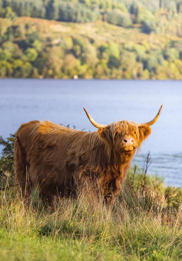 Loch Ness Cottage حصن أوغسطس المظهر الخارجي الصورة